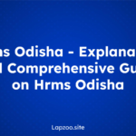 Animerulz – Explanation and Comprehensive Guide on Animerulz