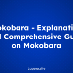 Steamrip – Explanation and Comprehensive Guide on Steamrip