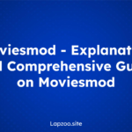 9xflix – Explanation and Comprehensive Guide on 9xflix